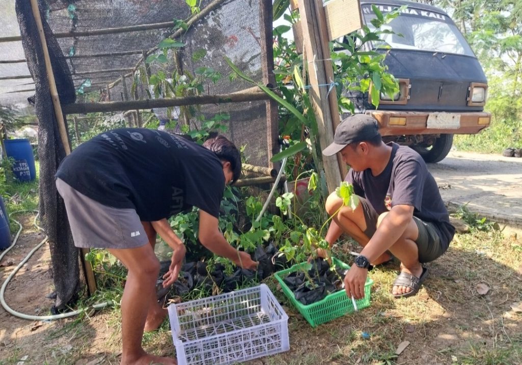 Persiapan Tanam Pohon dilahan Kritis kali butek