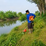 altivora teknologi